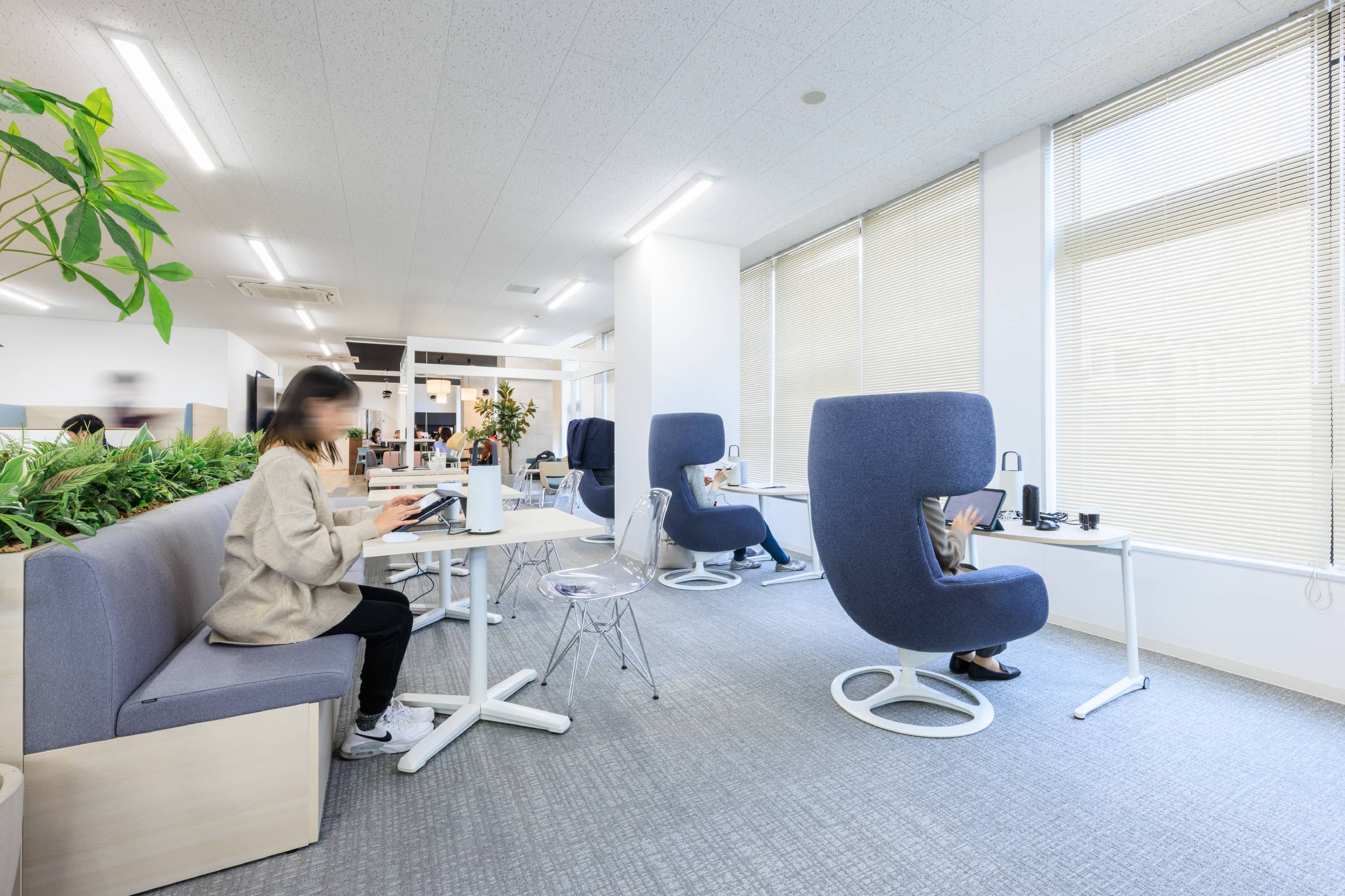 株式会社よーじや 様の事例写真／[執務エリア]日の光が差す明るい窓際席。外に向かって座るパーソナルチェアは、ほどよく体を包み込み、周囲の音を適度に遮断するため集中できると好評です。ソファ席は、個人作業や少人数の軽い打ち合わせにも活用されています。