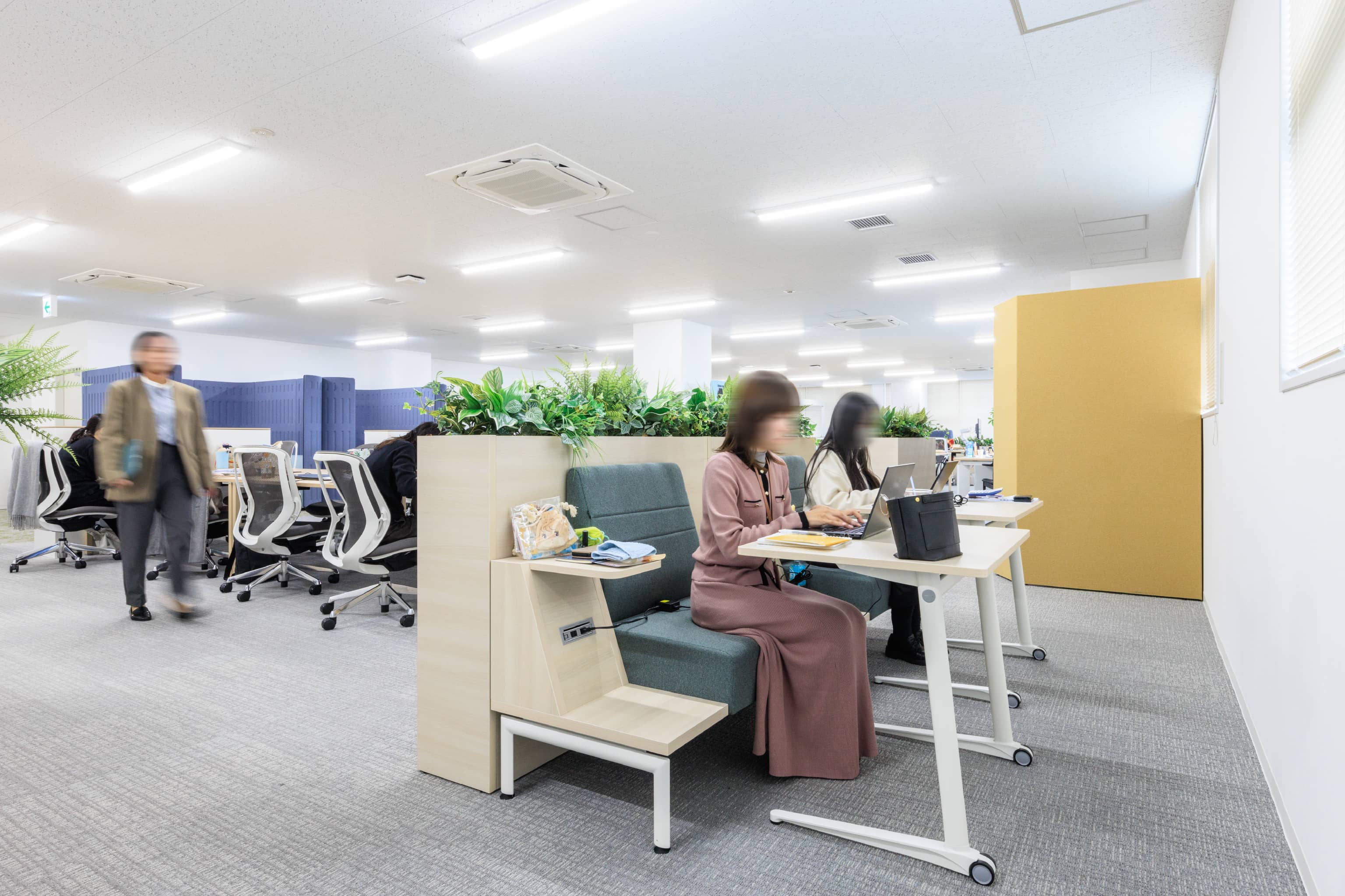 株式会社よーじや 様の事例写真／[執務エリア]壁に面したソファ席は、余計なものが視界に入らず集中力が途切れにくいのが特長です。背もたれの観葉植物が適度な目隠し役を果たし、オープンでありながら没頭できる空間を演出してくれます。