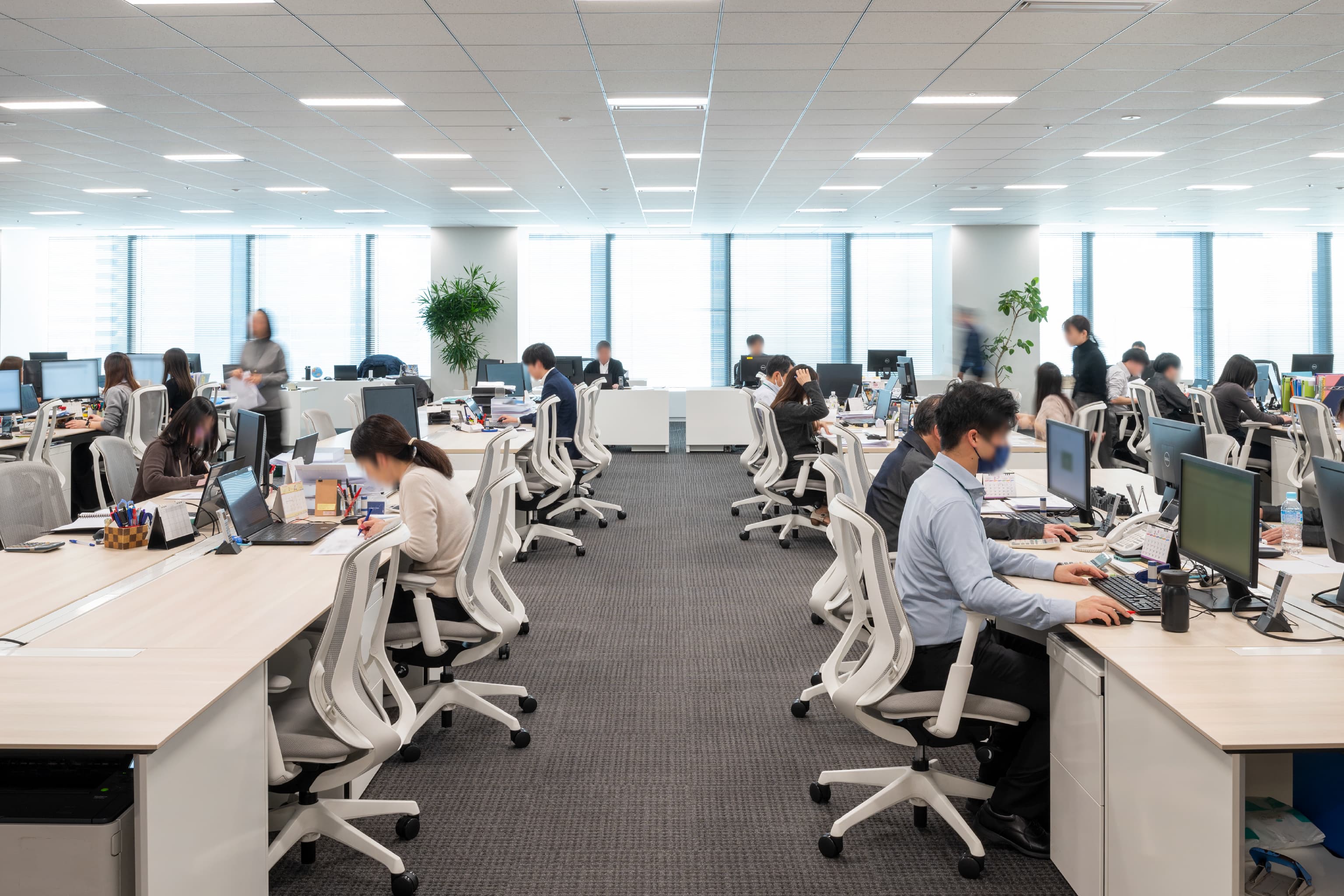 ハニューフーズ株式会社 様の事例写真／[執務エリア]固定席の執務エリアは、通路を広く確保。個人が作業に集中しやすく、適度な距離感が自然なコミュニケーションを生みます。窓側には部長席を配置し、チームの動きを見渡せるレイアウトに。円滑な業務の進行を支えます。