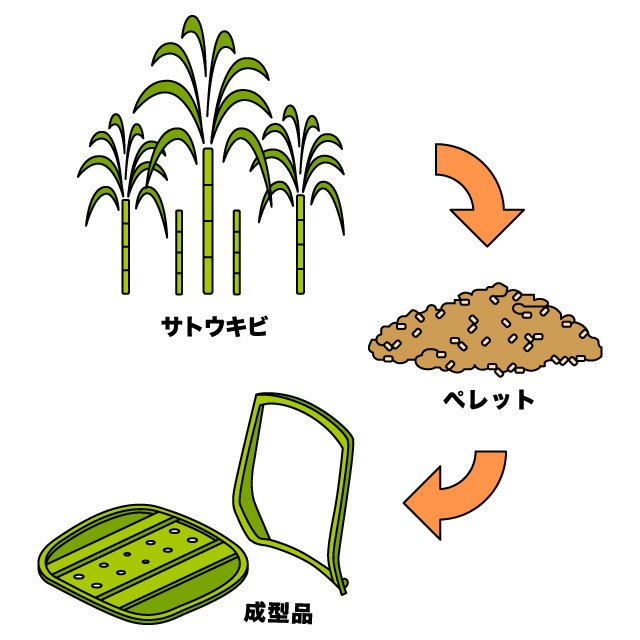 GREEN WAVE | Circuler Design | バイオマスプラスチック