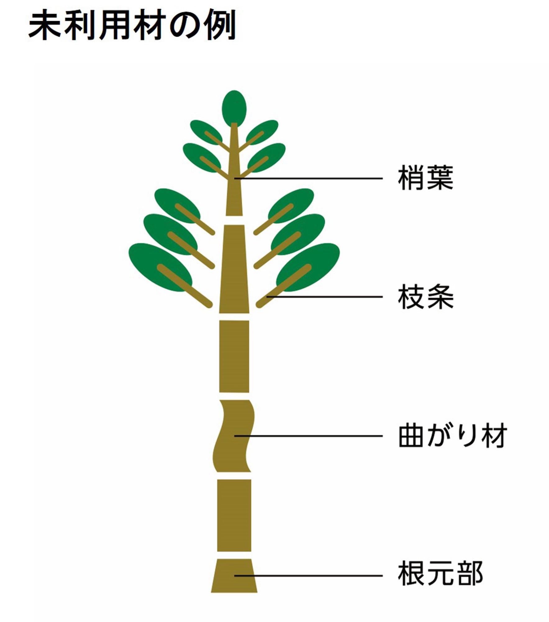 未利用材の例