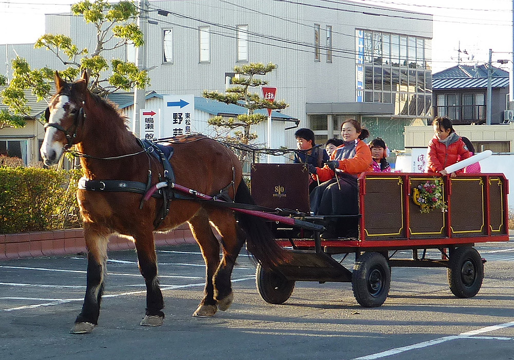 馬車に子どもたちを乗せて野蒜の町を走らせる由紀子さん