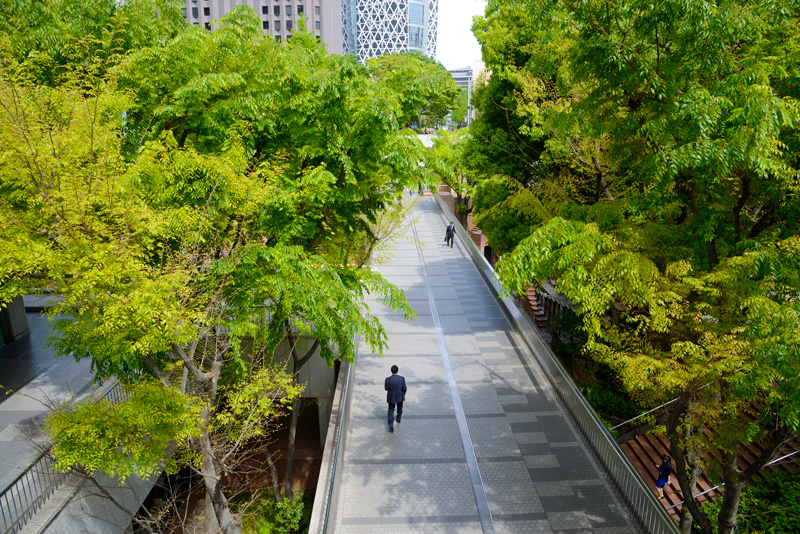 池田さんが設計した新宿三井ビルの足元には豊かな緑が広がっている