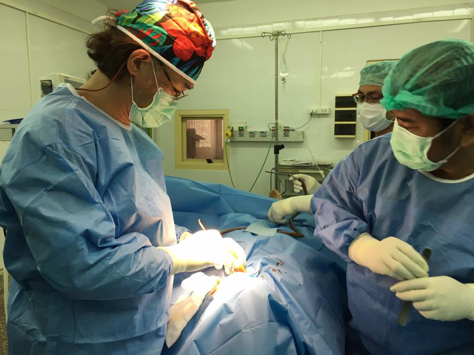 途上国の病院で手術を行う岩田医師（写真提供：ウィズアウトボーダー）