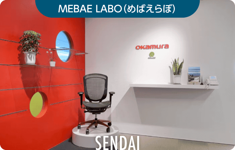 MEBAE LABO（めばえらぼ）の写真