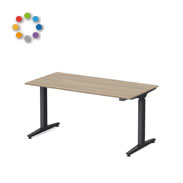 スイフトネックス