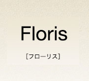 カラーシミュレーション｜Floris (フローリス)｜オフィスシーティング