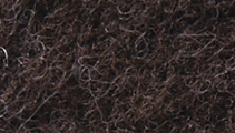 FJY1